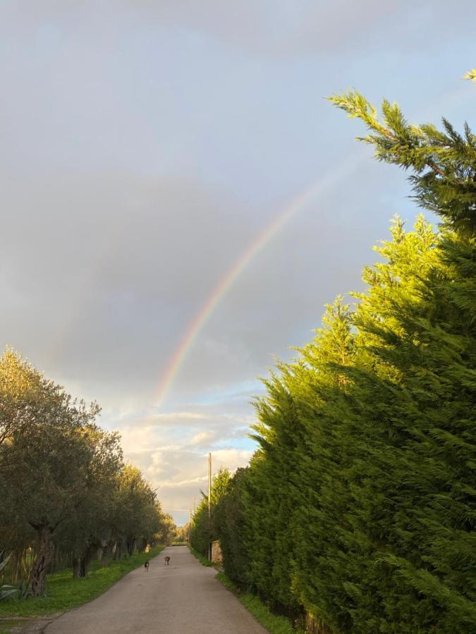 Villa Culla di Jana Alghero Esterno foto