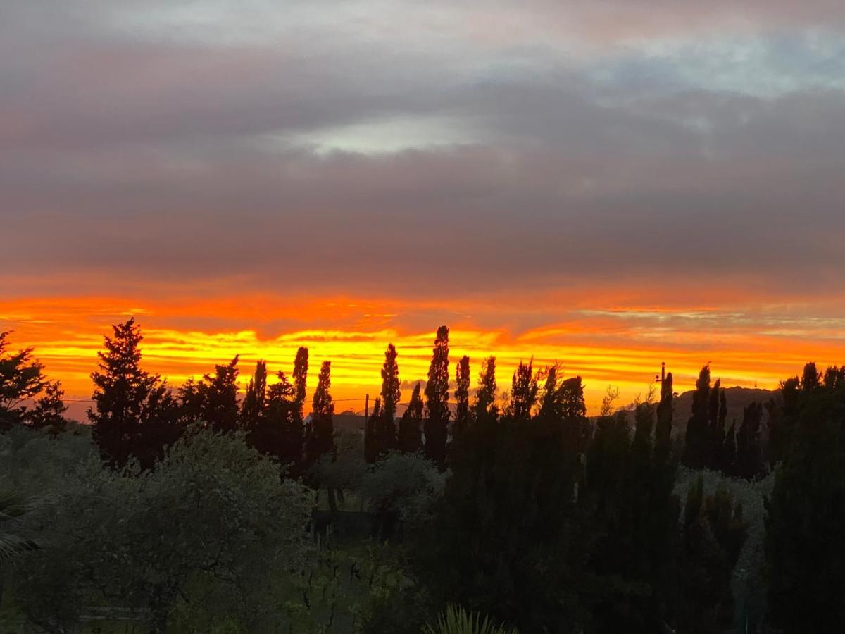 Villa Culla di Jana Alghero Esterno foto